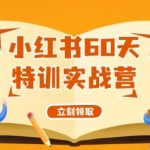 小红书60天特训实战营（系统课）从0打造能赚钱的小红书账号