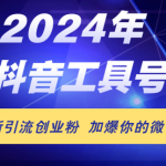 24年抖音最新工具号日引流300+创业粉，日入5000+