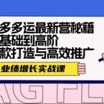 拼多多运最新营秘籍：业绩 增长实战课，从基础到高阶，爆款打造与高效推广