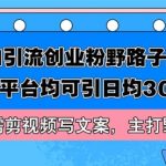 Soul引流创业粉野路子方法，交友平台均可引日均300+