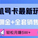 手机号卡最新玩法，超高佣金+全套销售方法