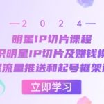 明星IP切片课程：认识明星IP切片及赚钱模式，掌握流量推送和起号框架逻辑