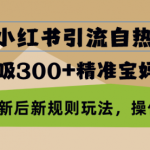 最新小红书引流自热打法，轻松日吸300+精准宝妈创业粉