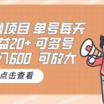 0撸项目：单号每天收益20+，月入600 可多号