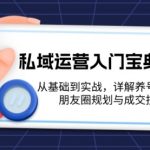 私域运营入门宝典：从基础到实战，详解养号、标签、朋友圈规划与成交技巧