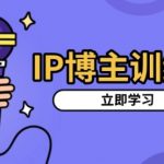 IP博主训练课，定位账号，推荐热门赛道，搭建涨粉架构，拍出更吸粉视频