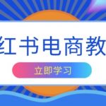 小红书电商教程，掌握帐号定位与内容创作技巧，打造爆款，实现商业变现