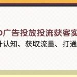 巨量AD广告投放投流获客实战指南，提升认知、获取流量、打通逻辑