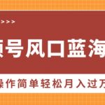 视频号风口蓝海项目，中老年人的流量密码，操作简单轻松月入过万