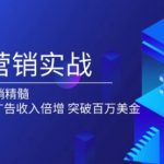 邮件营销实战，掌握EDM营销精髓，助力网站非广告收入倍增，突破百万美金