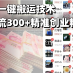 西瓜视频一键搬运技术，稳定日引流300+精准创业粉