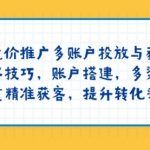 竞价推广多账户投放与获客技巧，账户搭建，多渠道精准获客，提升转化率