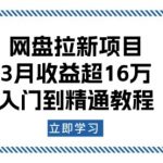 网盘拉新项目：3月收益超16万，入门到精通教程