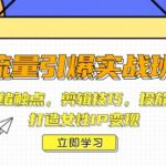 流量引爆实战班，涵盖情绪触点，剪辑技巧，投放逻辑等，打造女性IP变现